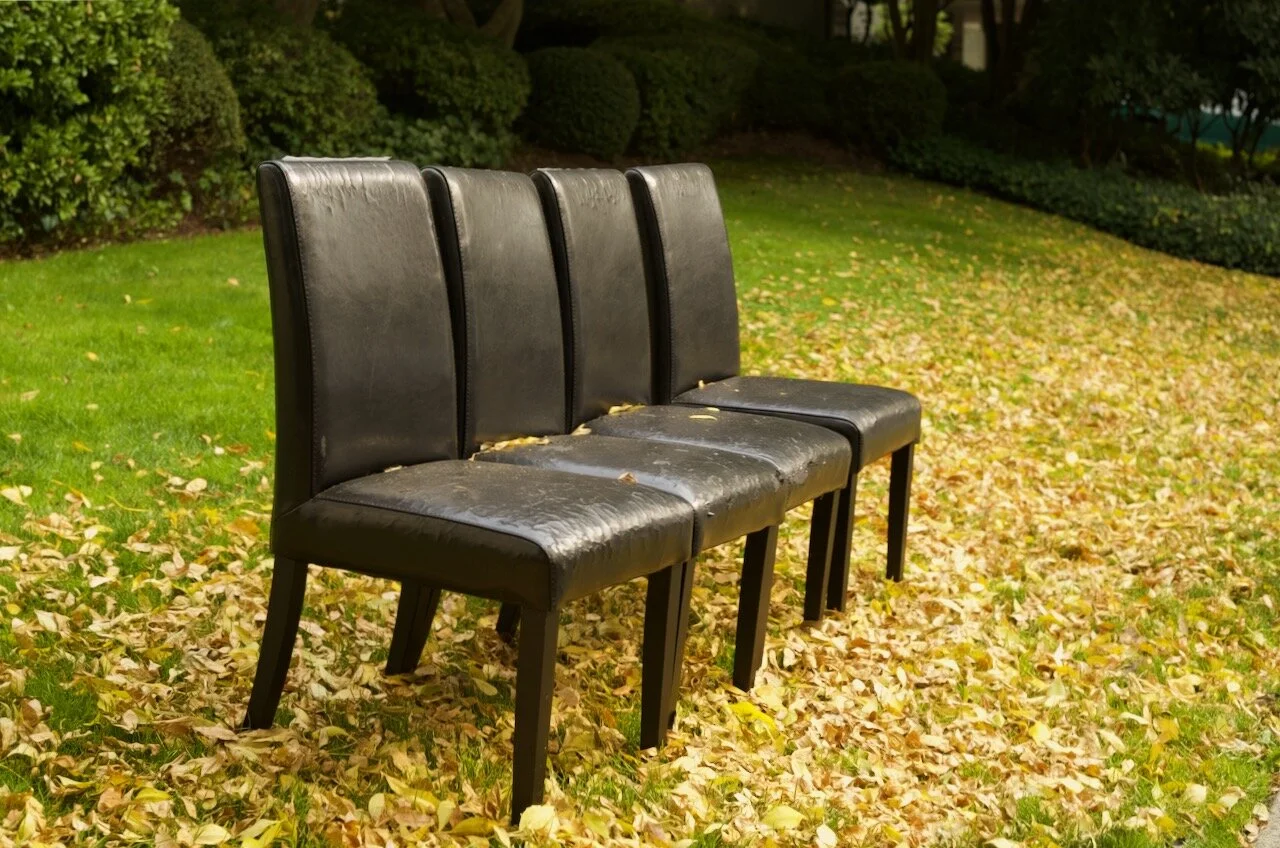 Autumn in New Westminster B.C.Click image for lightbox.