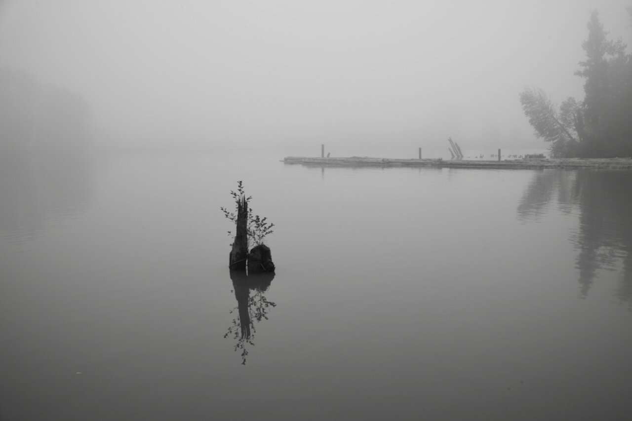 Fraser River, British ColumbiaClick image for lightbox.