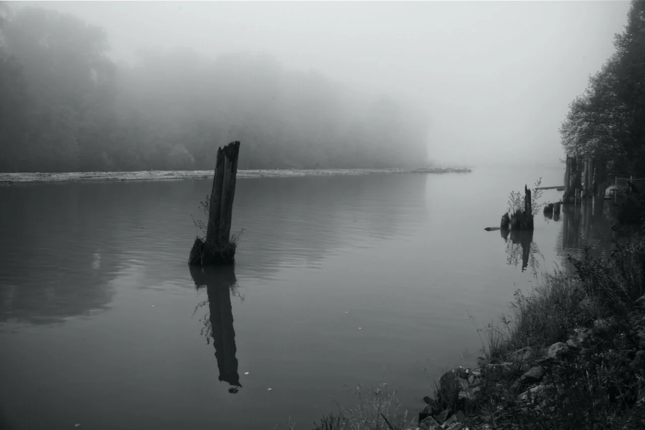 Fraser River, British ColumbiaClick image for lightbox.