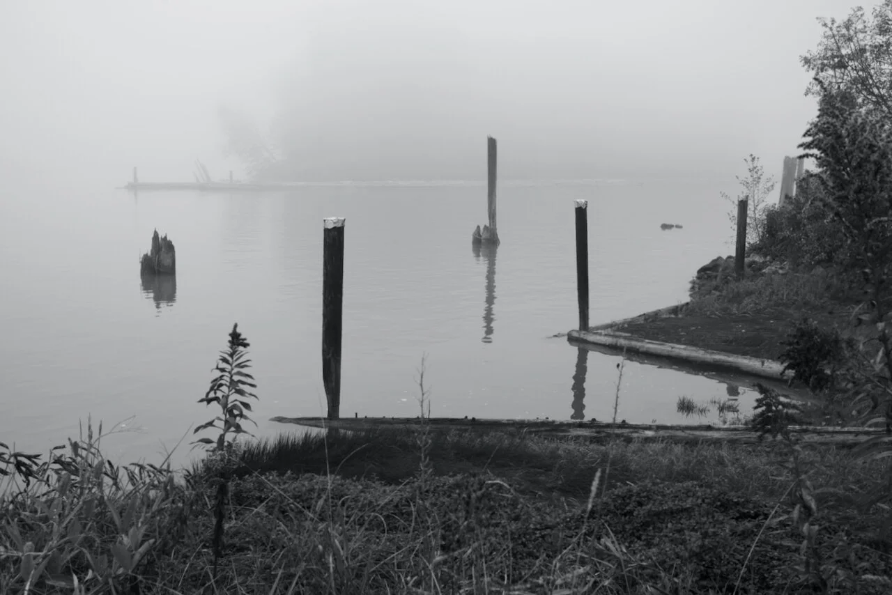 Fraser River, British ColumbiaClick image for lightbox.