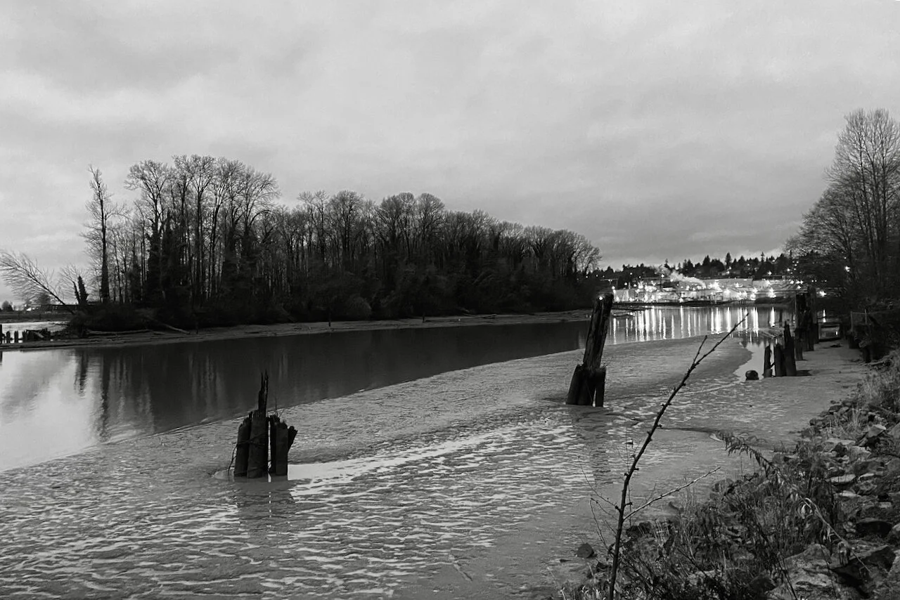 The Fraser River at New Westminster, B.C. in early morning light.Click image for lightbox.