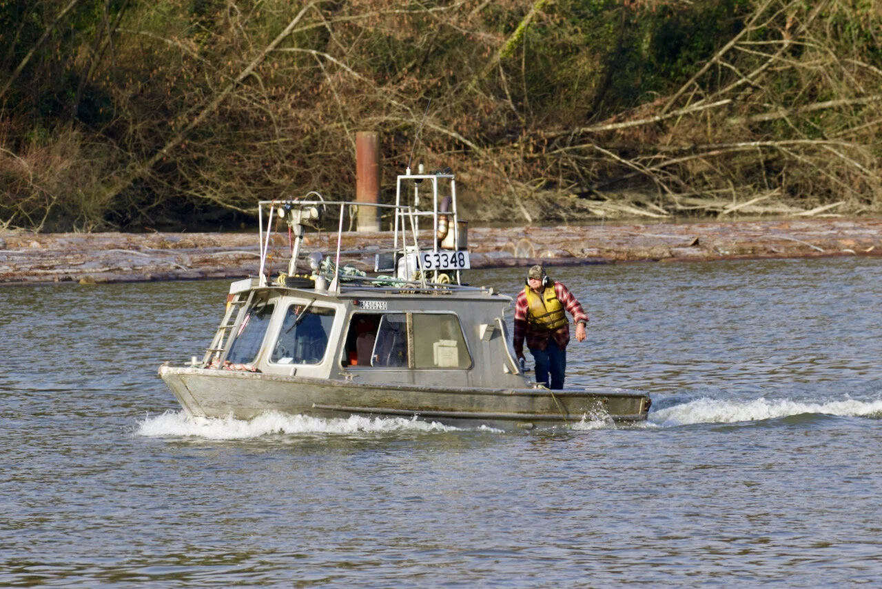 Beachcomber LS3348 cruises by log boom at Poplar Island in the Fraser River, March 16, 2021Click image for lightbox.