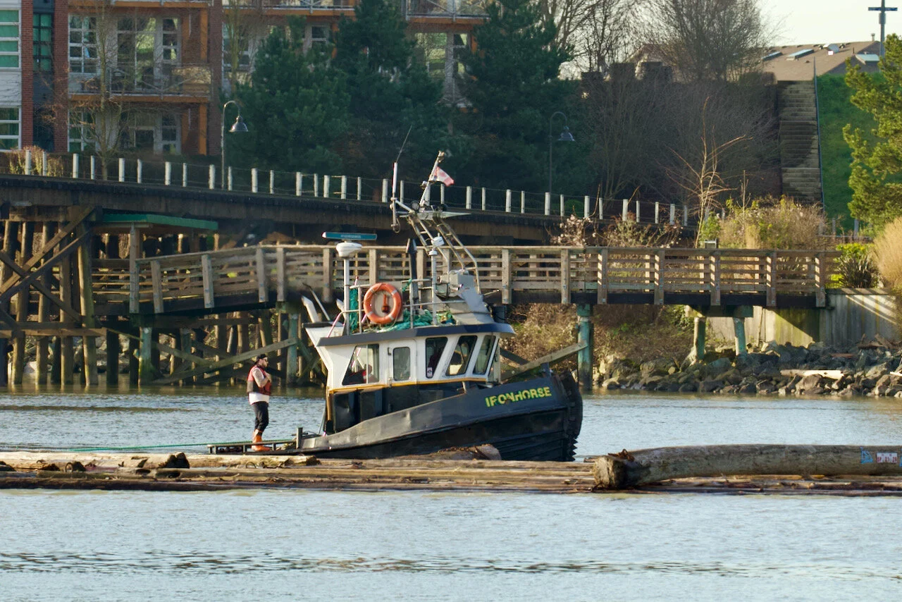 Quality Towing tugboat “IRONHORSE” guides log boom in Fraser River, March 31, 2021Click image for lightbox.