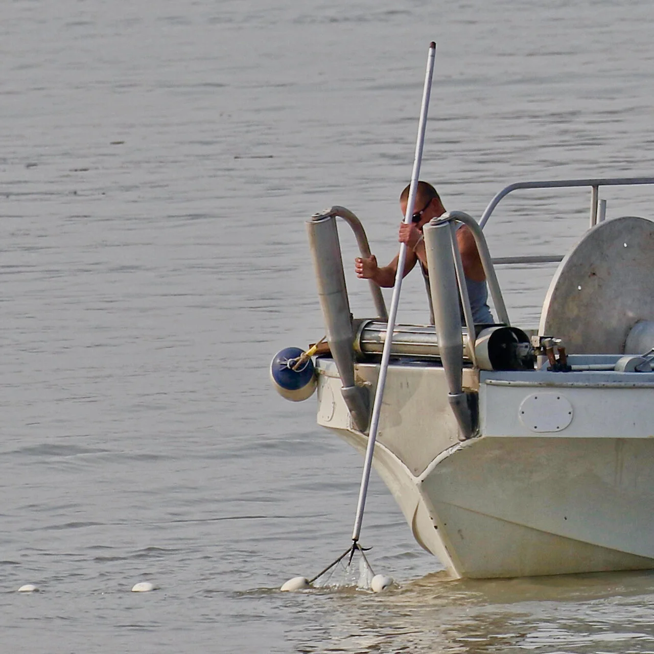 Fisherman uses pike pole to check net, Fraser River, B.C., August 2018.Click image for lightbox.