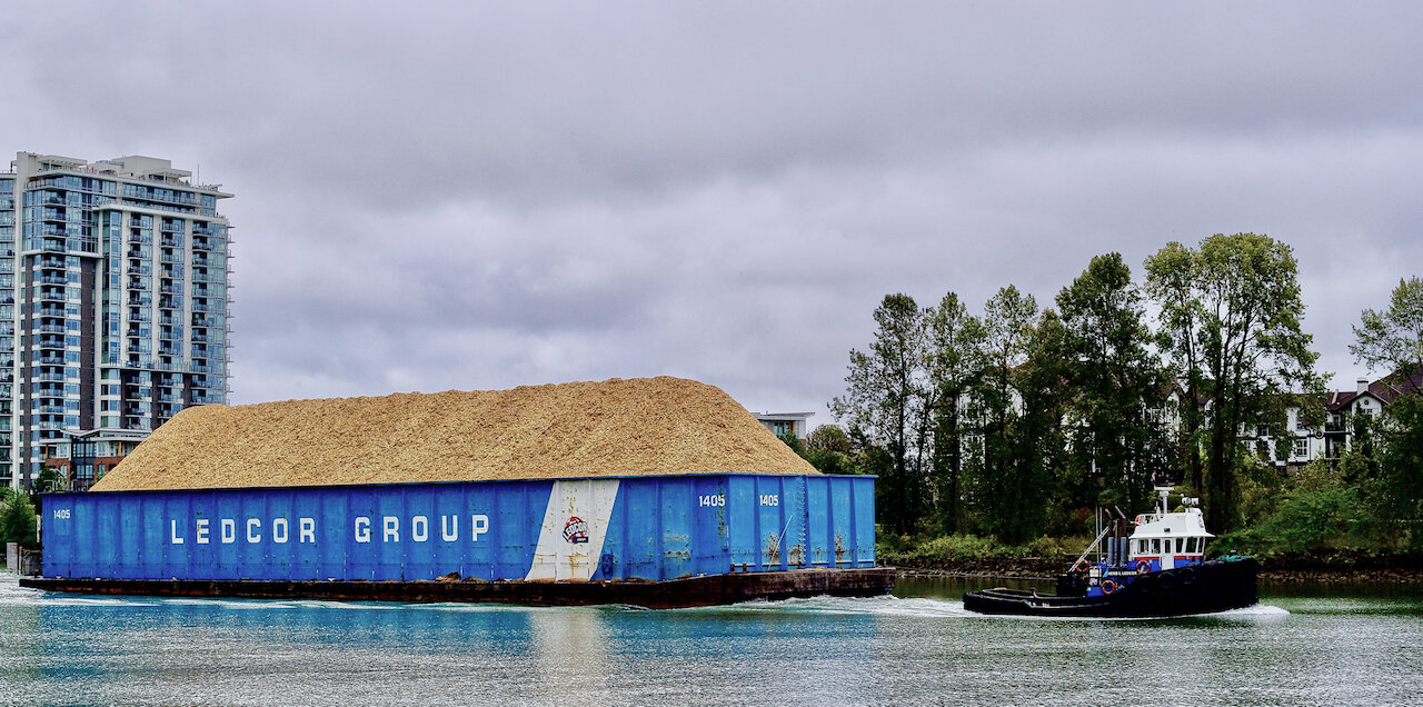 Ledcor Marine tugboat “HERB L LEDCOR” tows a fully loaded barge in the Fraser River, New Westminster, B.C., September 2021.Click image for lightbox.