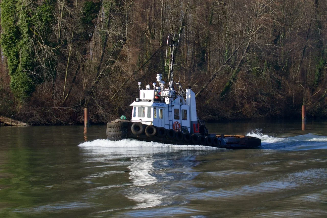 Pacific Tyee