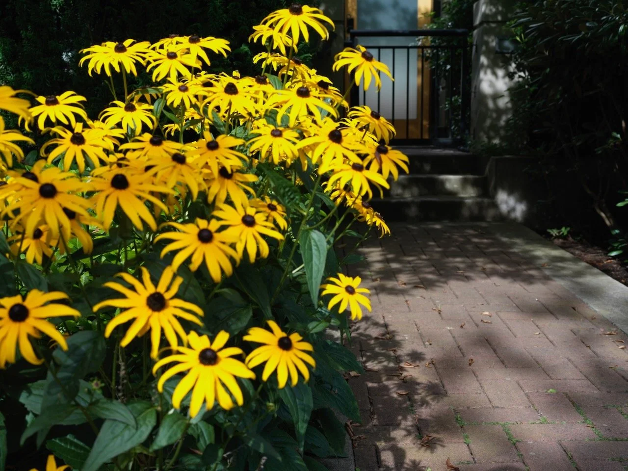 Susan’s Gate