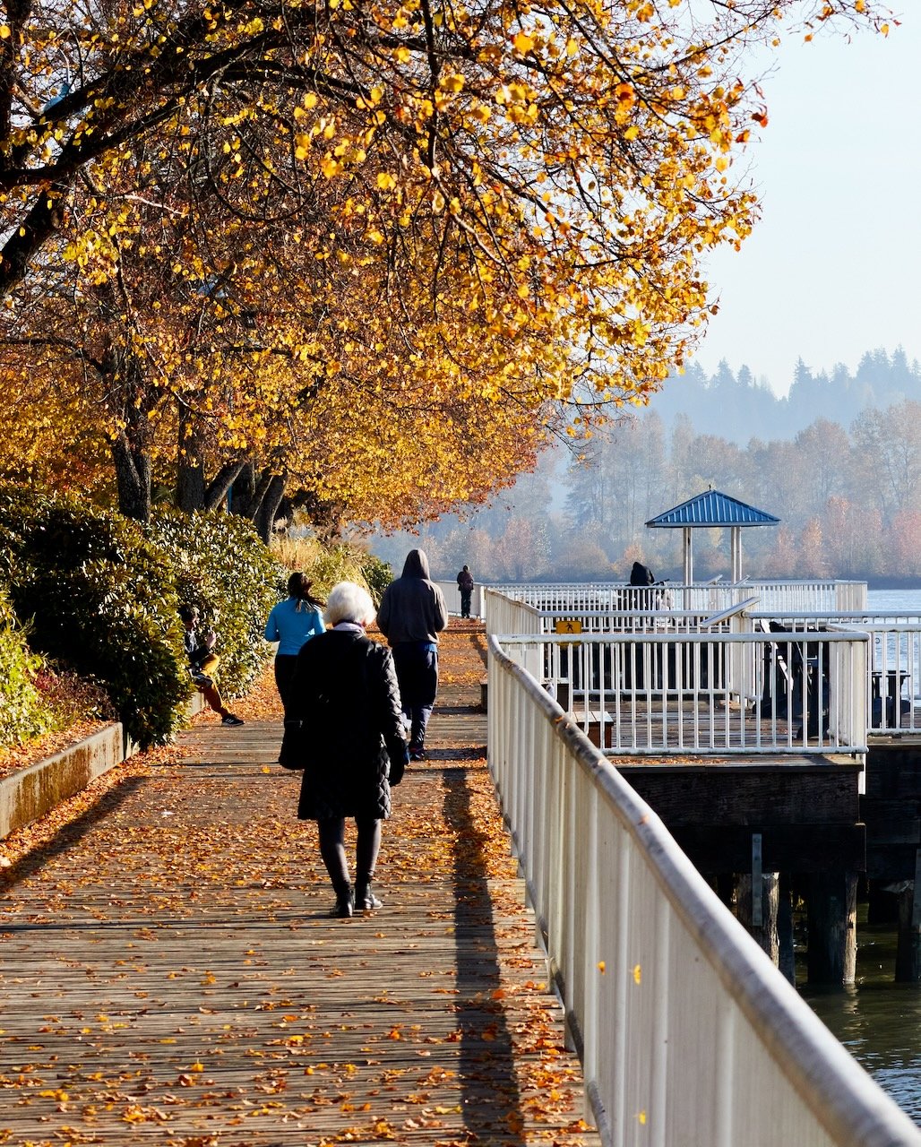 Fraser River Boardwalk