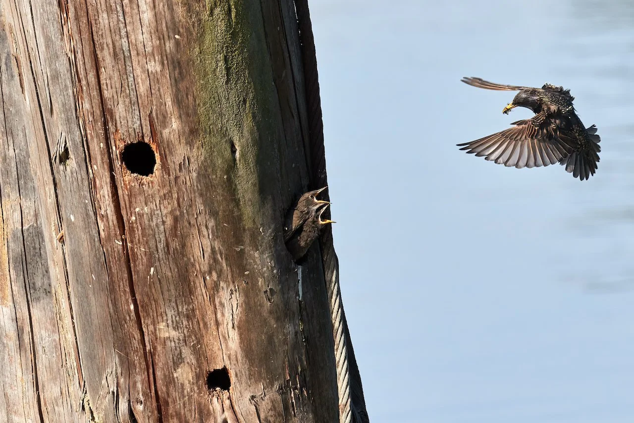 307A1812 2-SharpenAI-Standard.jpeg