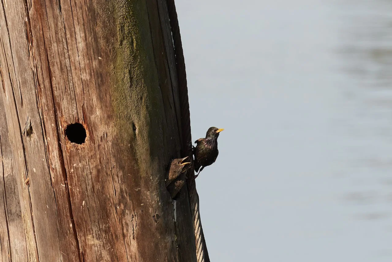 307A1830 2-SharpenAI-Standard.jpeg