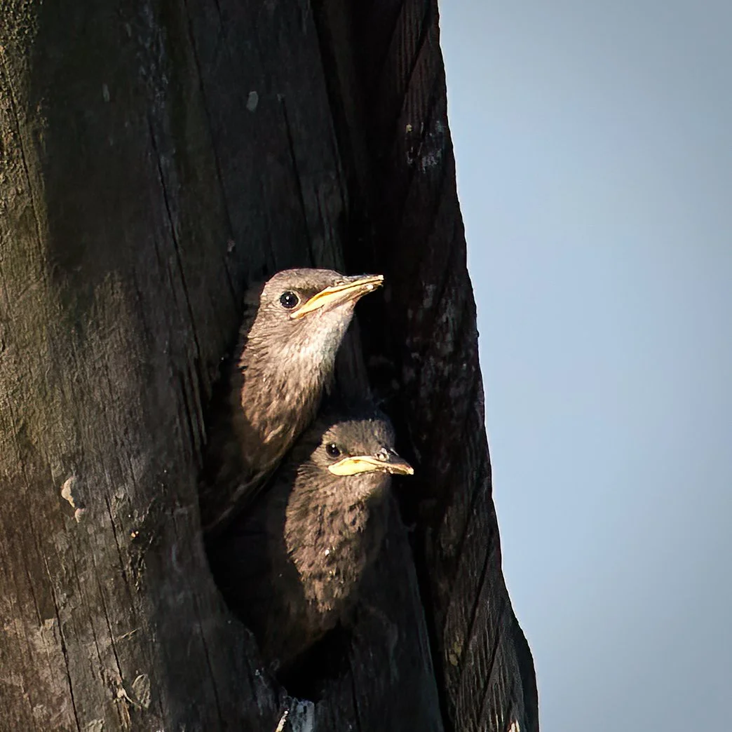 307A1791 2-SharpenAI-Standard.jpeg