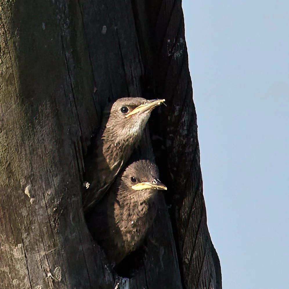 307A1792 2-SharpenAI-Standard.jpeg