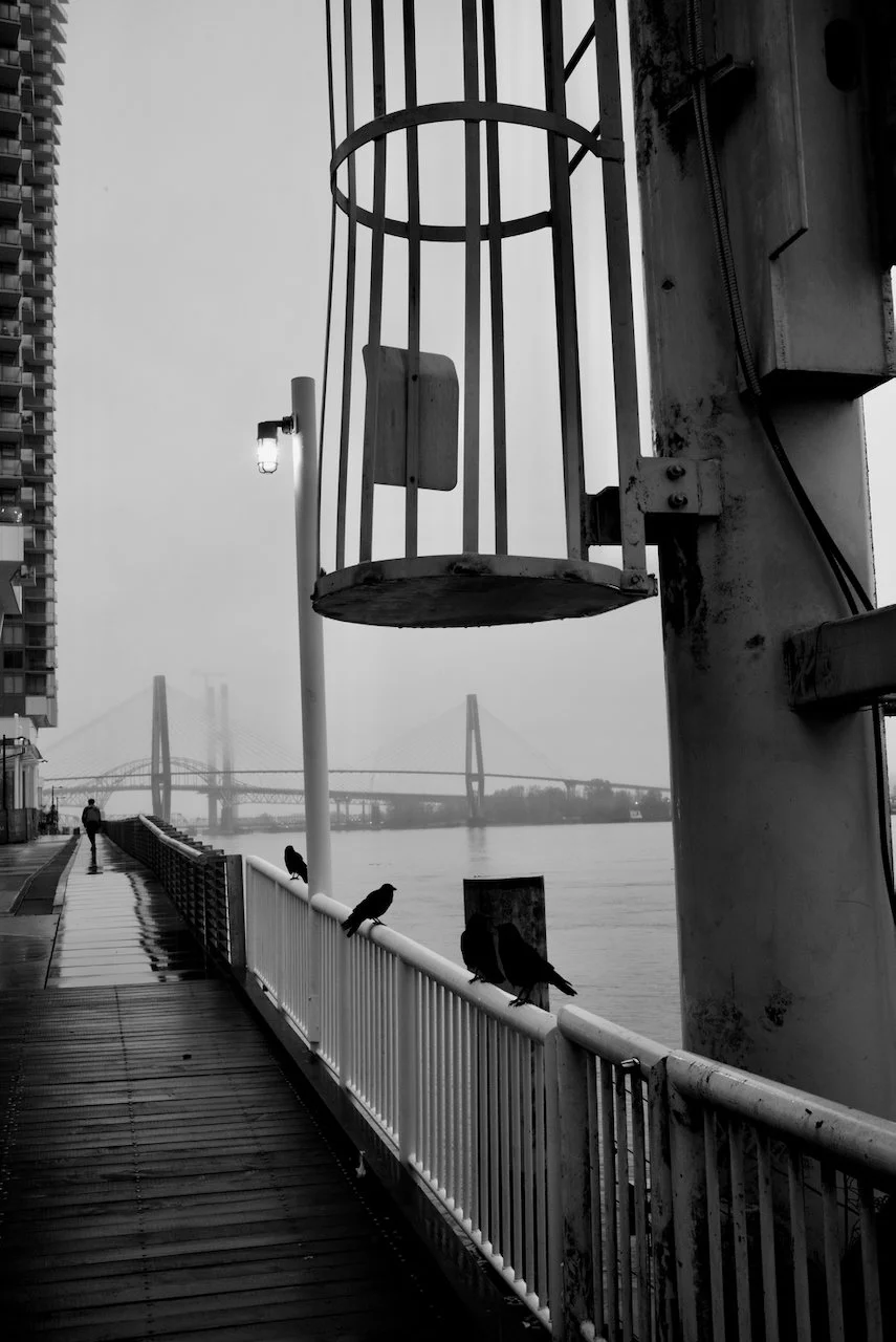 Fraser River Boardwalk