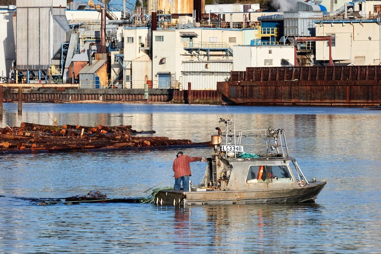 Log Salvage LS3348