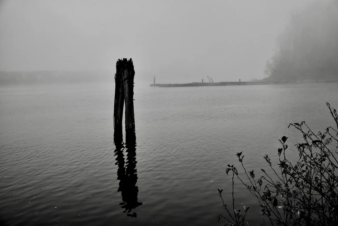 Fraser River Fog