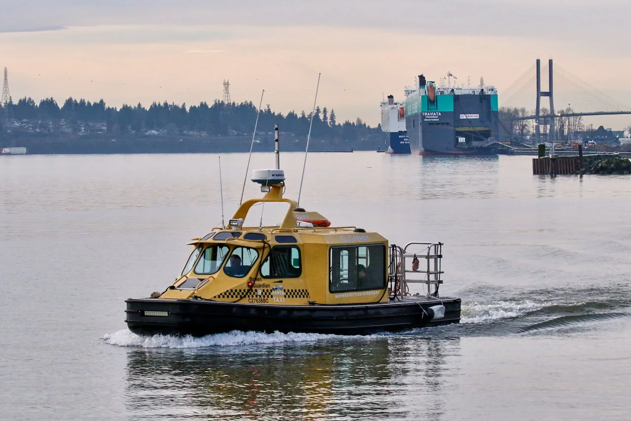 Passenger Vessel and Vehicles Carriers