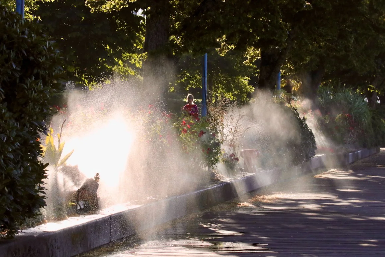 Morning Spray