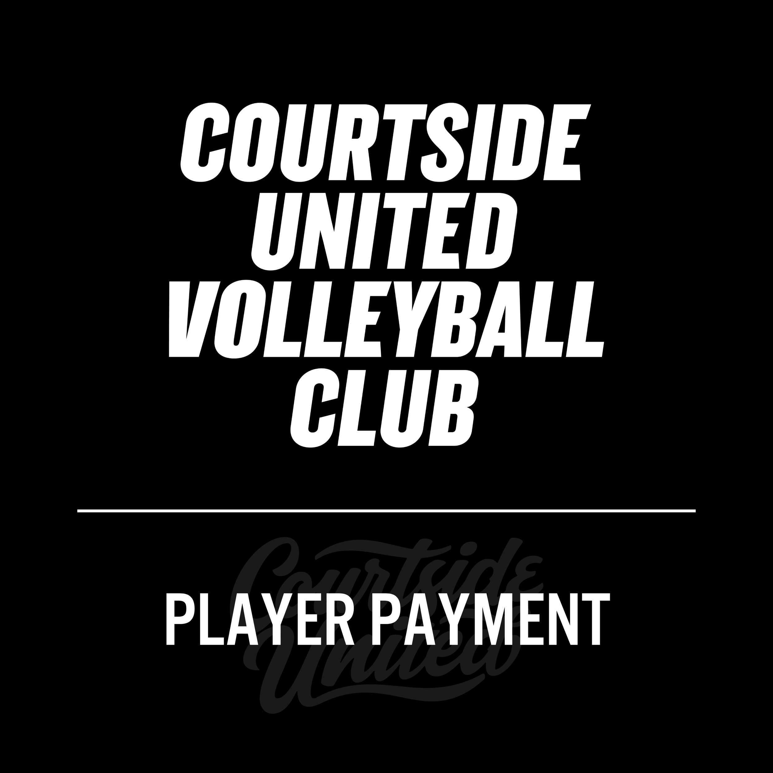 CUBN layer Payment Product Image.png