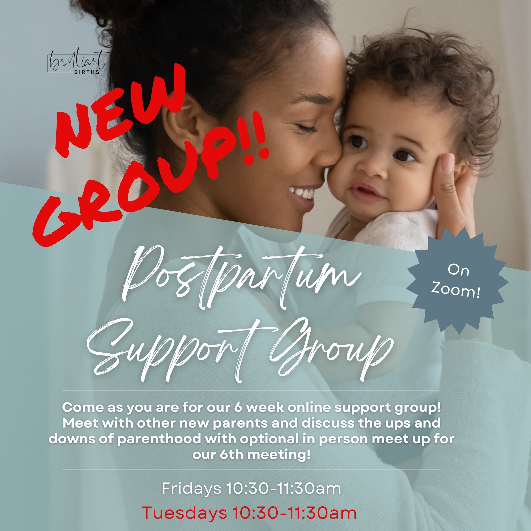 New group starts May 21st! We now have two separate postpartum support groups available. Online, low cost, with 6 week cohorts and a final in-person meeting to cement friendships. Sign up under the Support tab on our website! 

Details:
Online Postpa