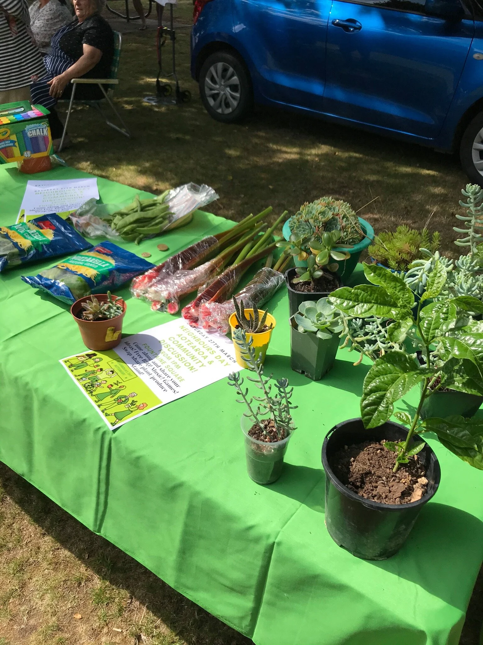 Woodville neighbours get their plant swap under way.
