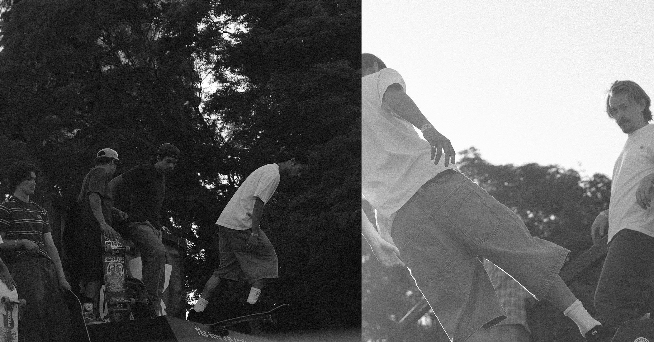 collage2.jpg