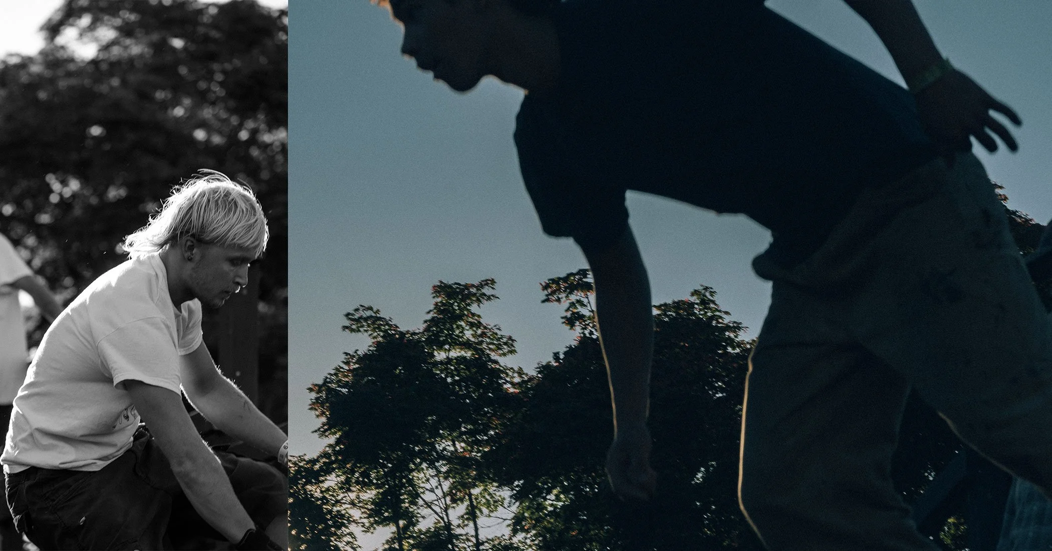 collage1.jpg
