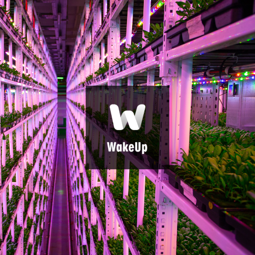 Online WakeUp: Hvordan kommer fremtidens fødevaremarked til at se ud?