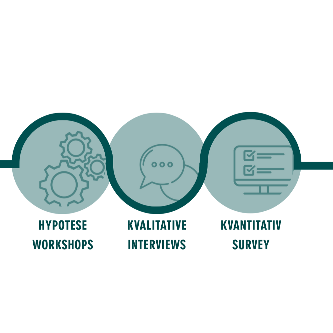 Diagram med tre cirkler, der viser trin i en forskningsproces: Hypotese WorkShops, Kvalitative Interviews, Kvantitativ Survey.