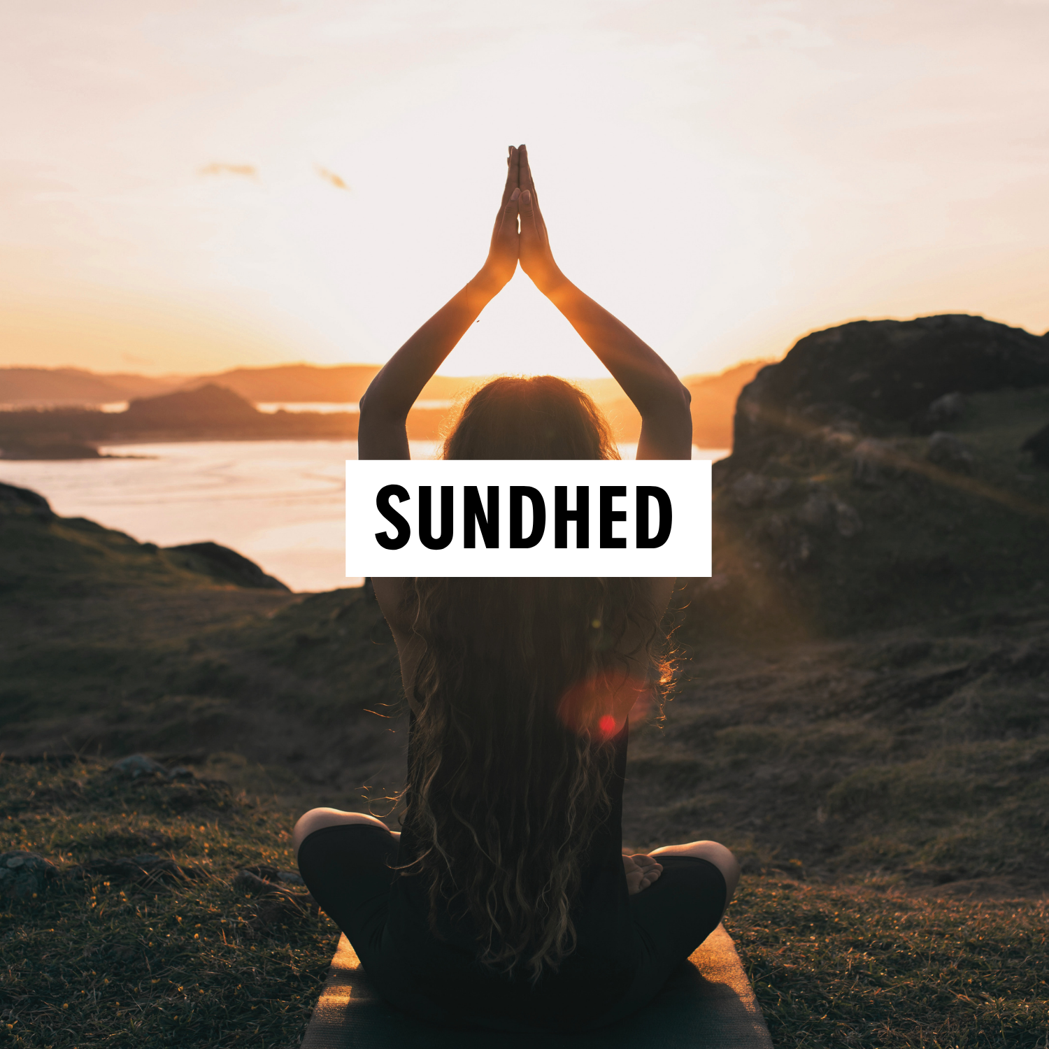 Sundhed