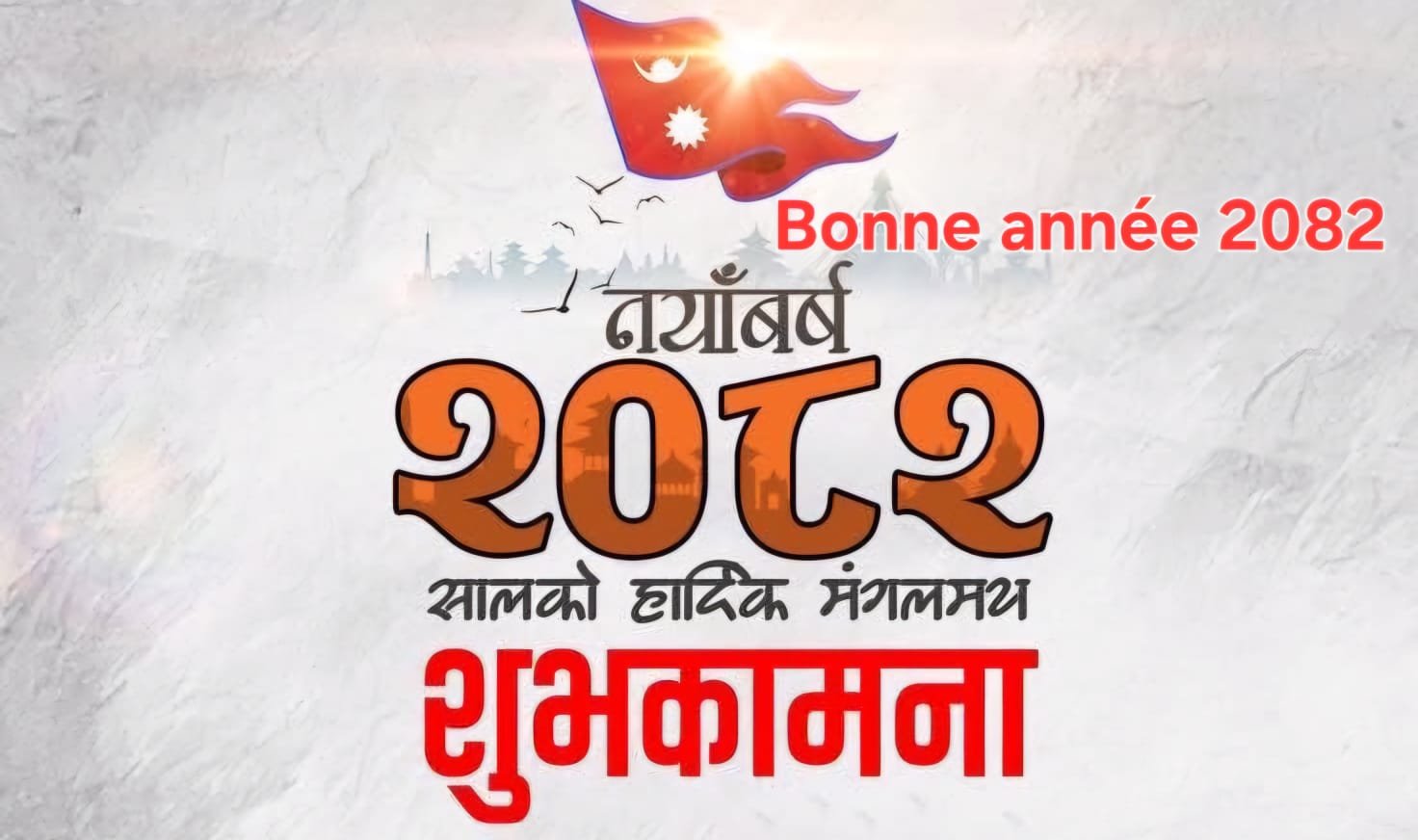 Bonne année 2082.jpeg