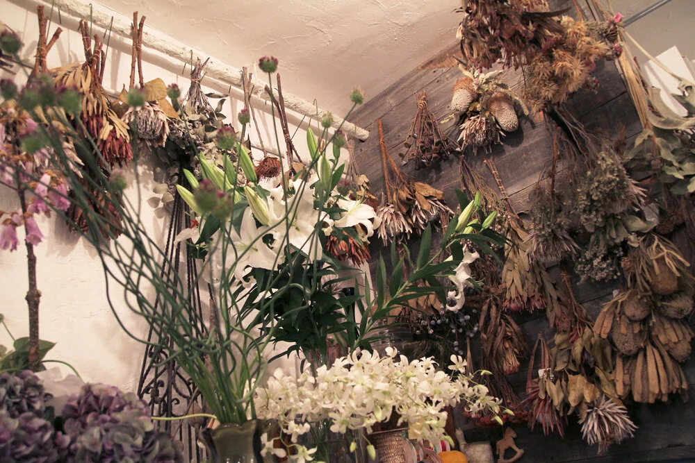 代々木上原周辺情報 素敵なお花屋さん Mugihana Studio Terranova 代々木上原 の自然光レンタル撮影スタジオ 渋谷 新宿エリア