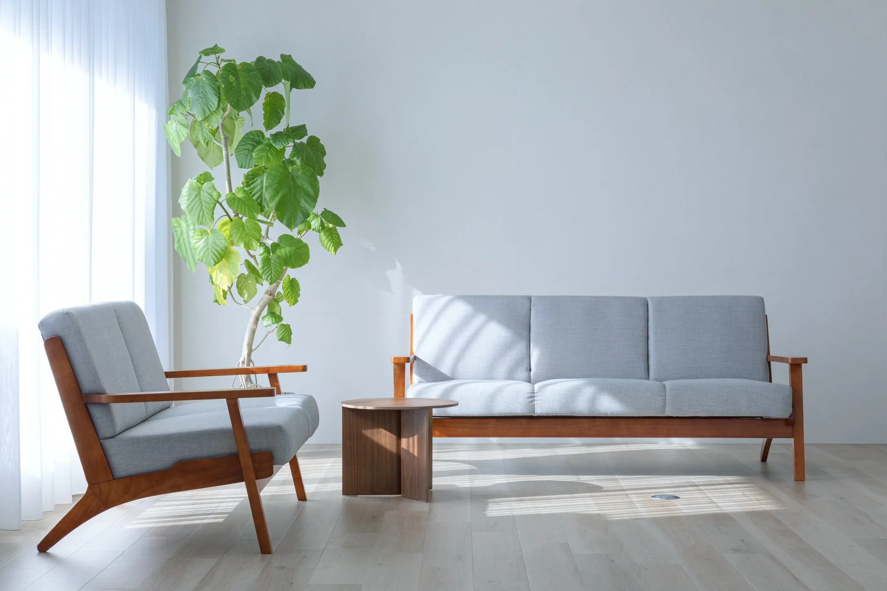 5月限定キャンペーンのお知らせ