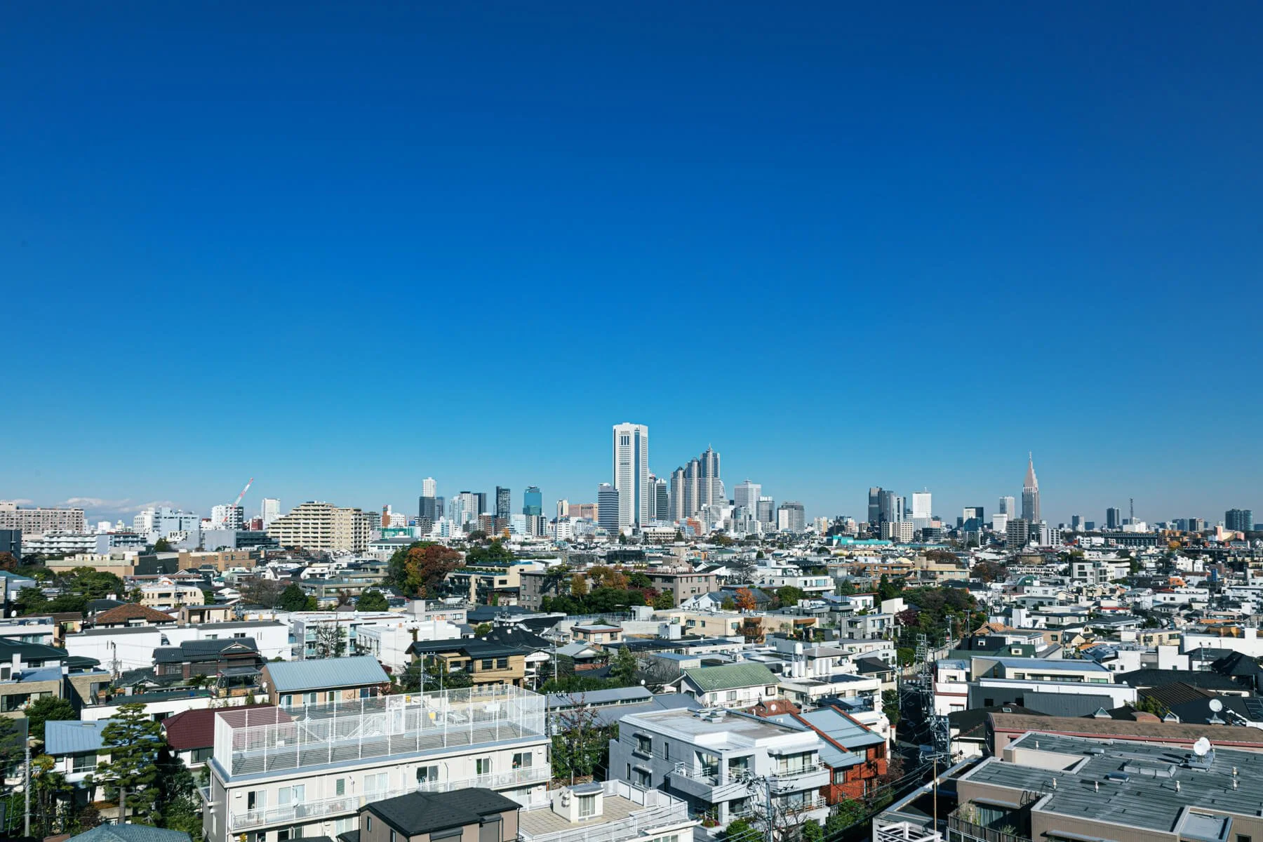 初回キャンペーンのお知らせ