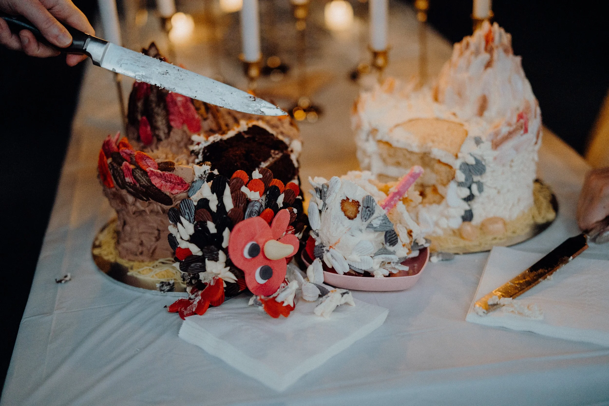 2026.02.21 Bec & Ollie - Last Light (70 of 80).jpg