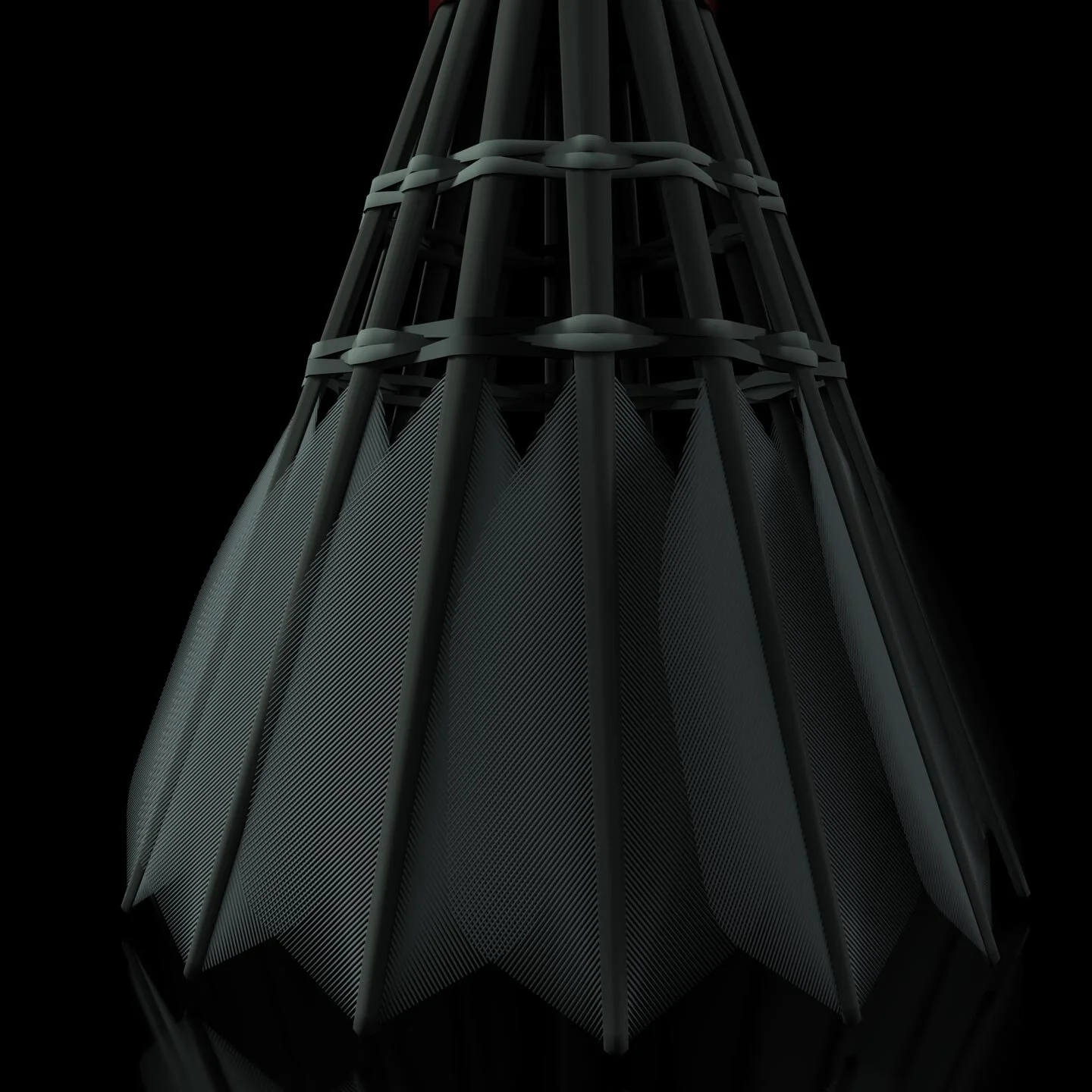 sn3.jpg