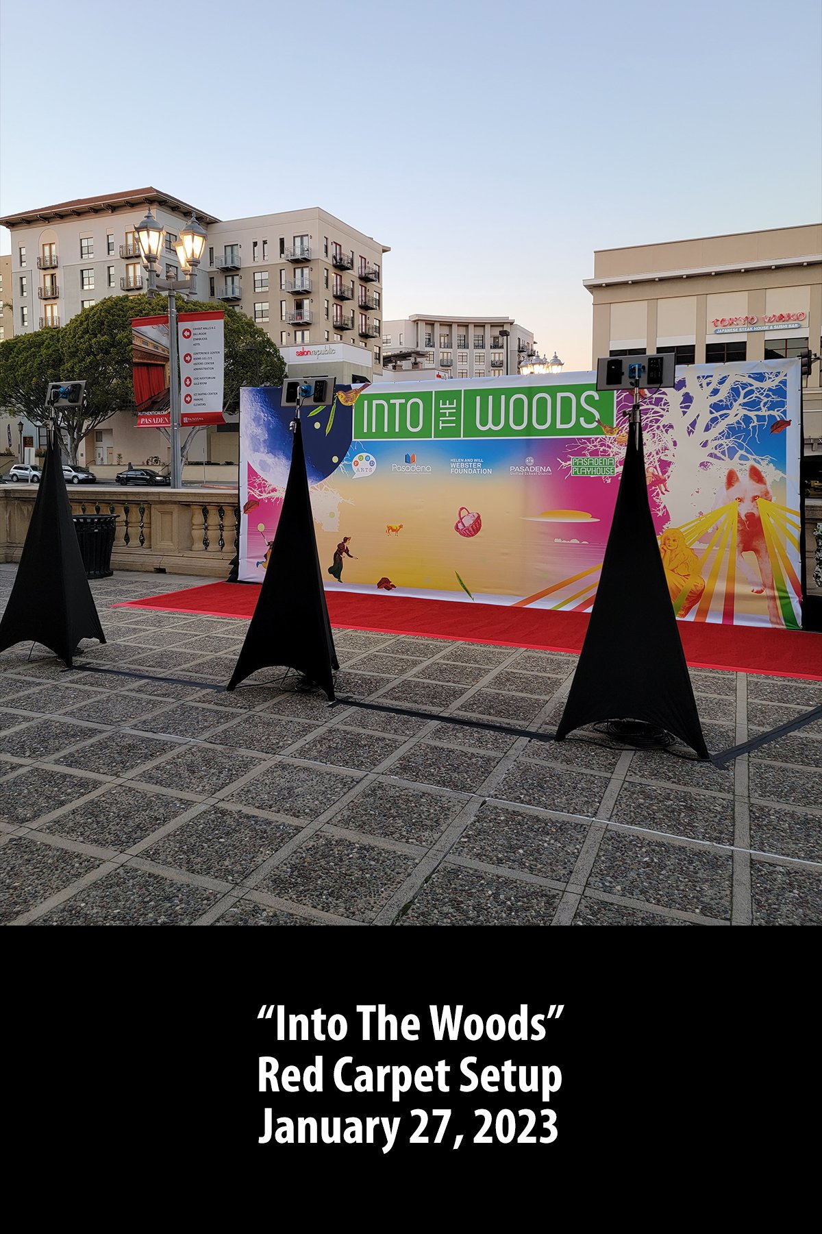 "Into The Woods" Red Carpet Setup