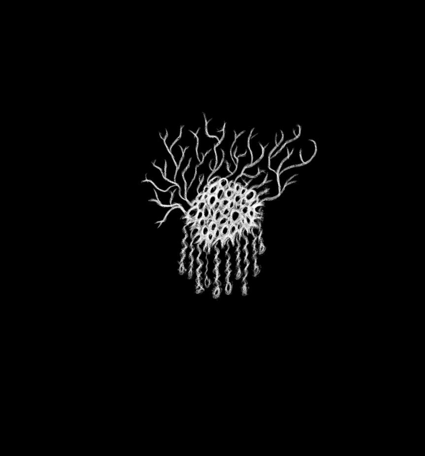 Slime Mould