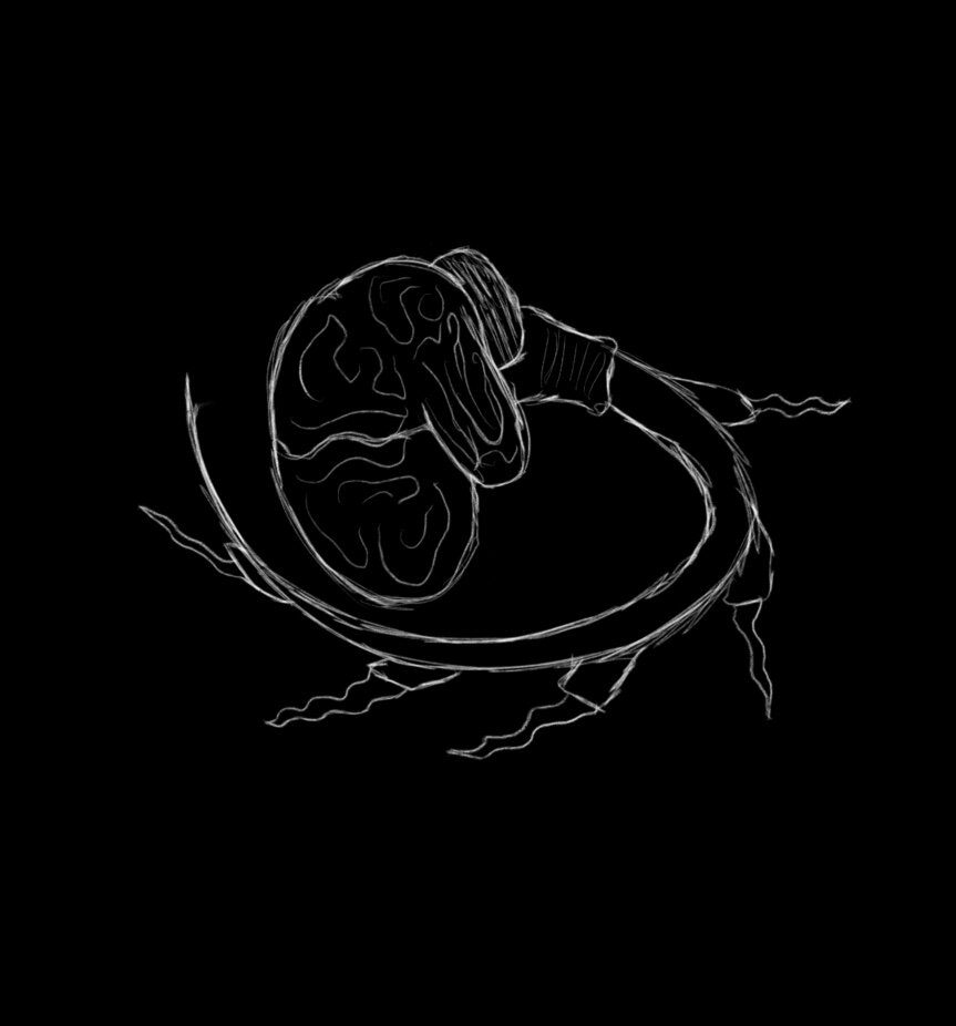 The Witch & The Wedding Gift