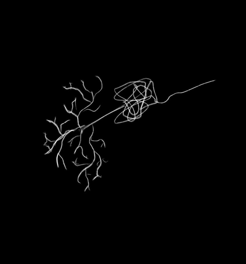 Ixodida