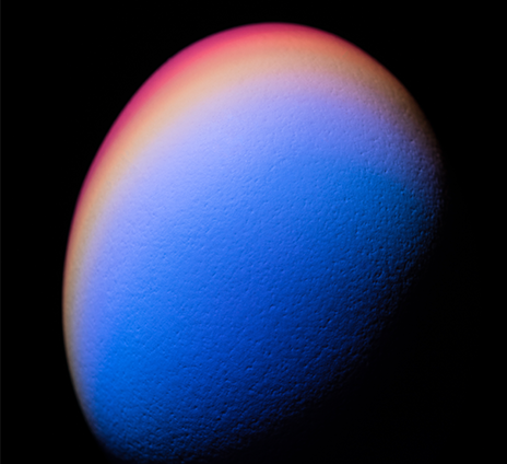 egg.png