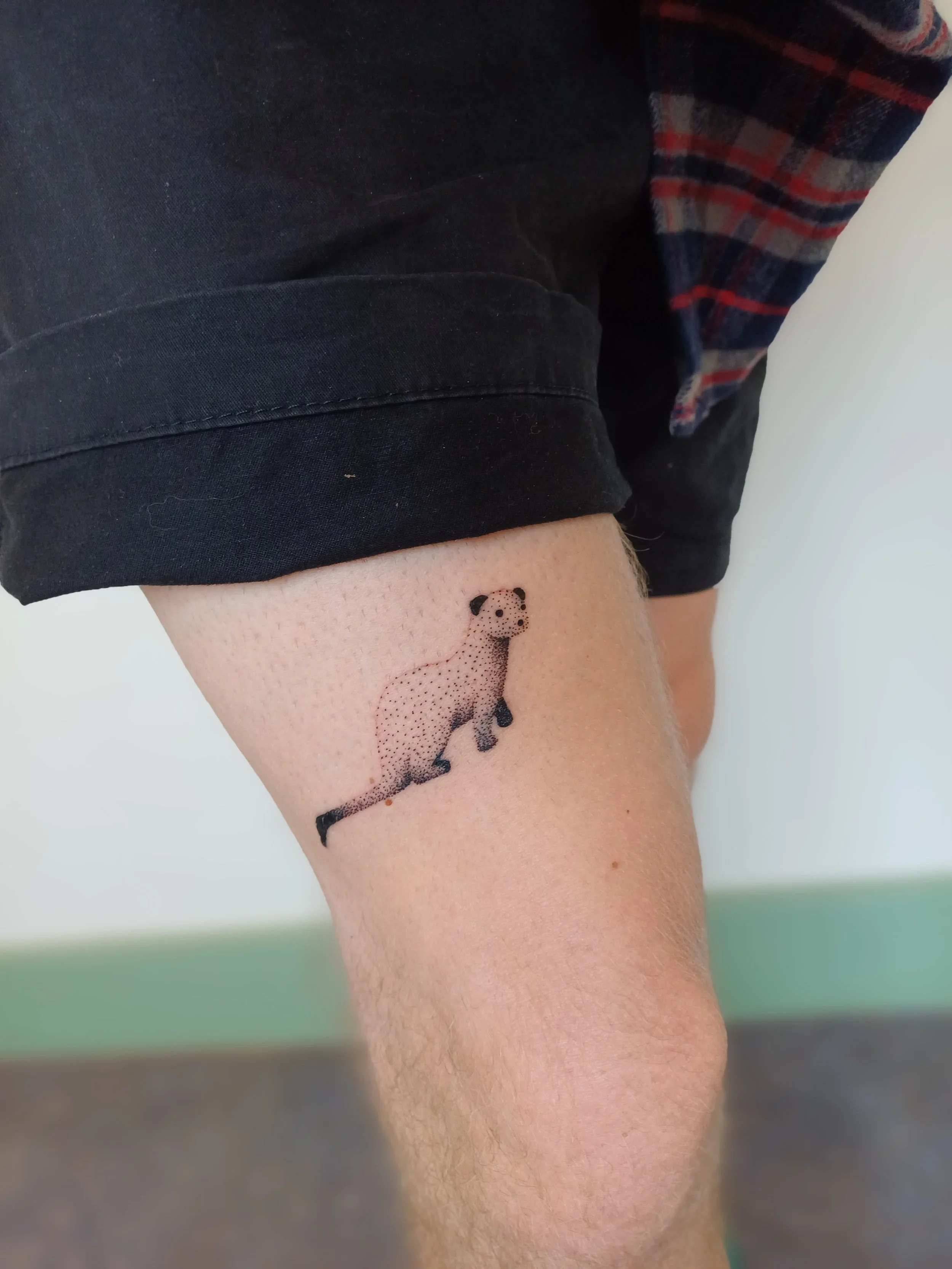 20250716_101136 (1).jpg