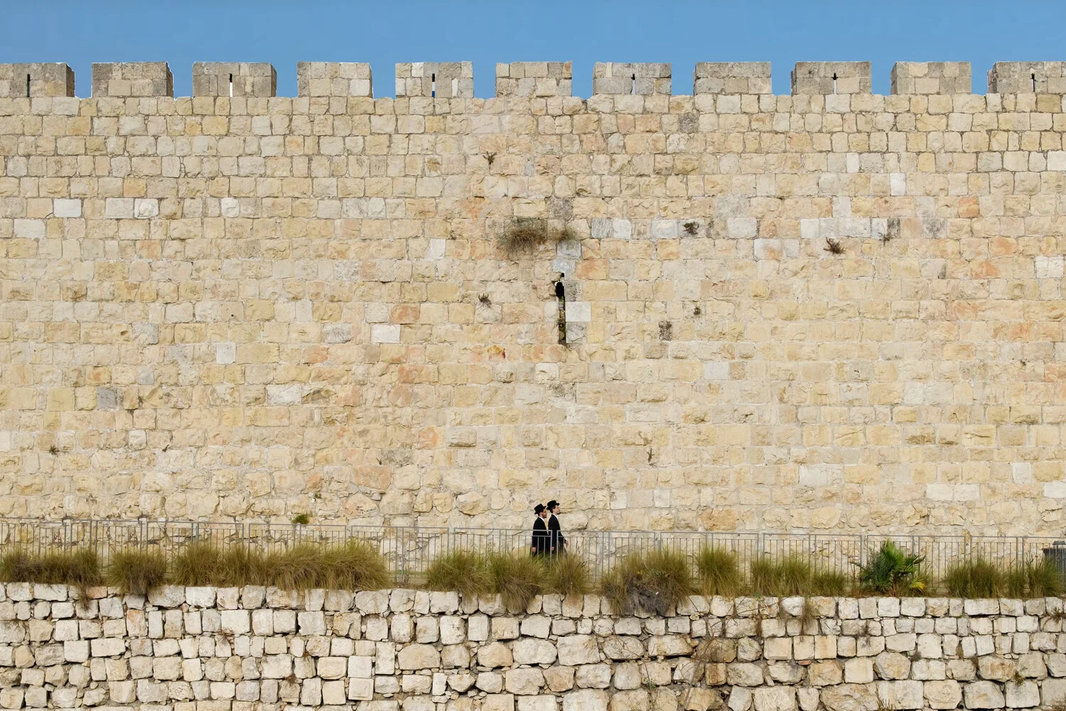 奉獻支持..Financial Partnership 