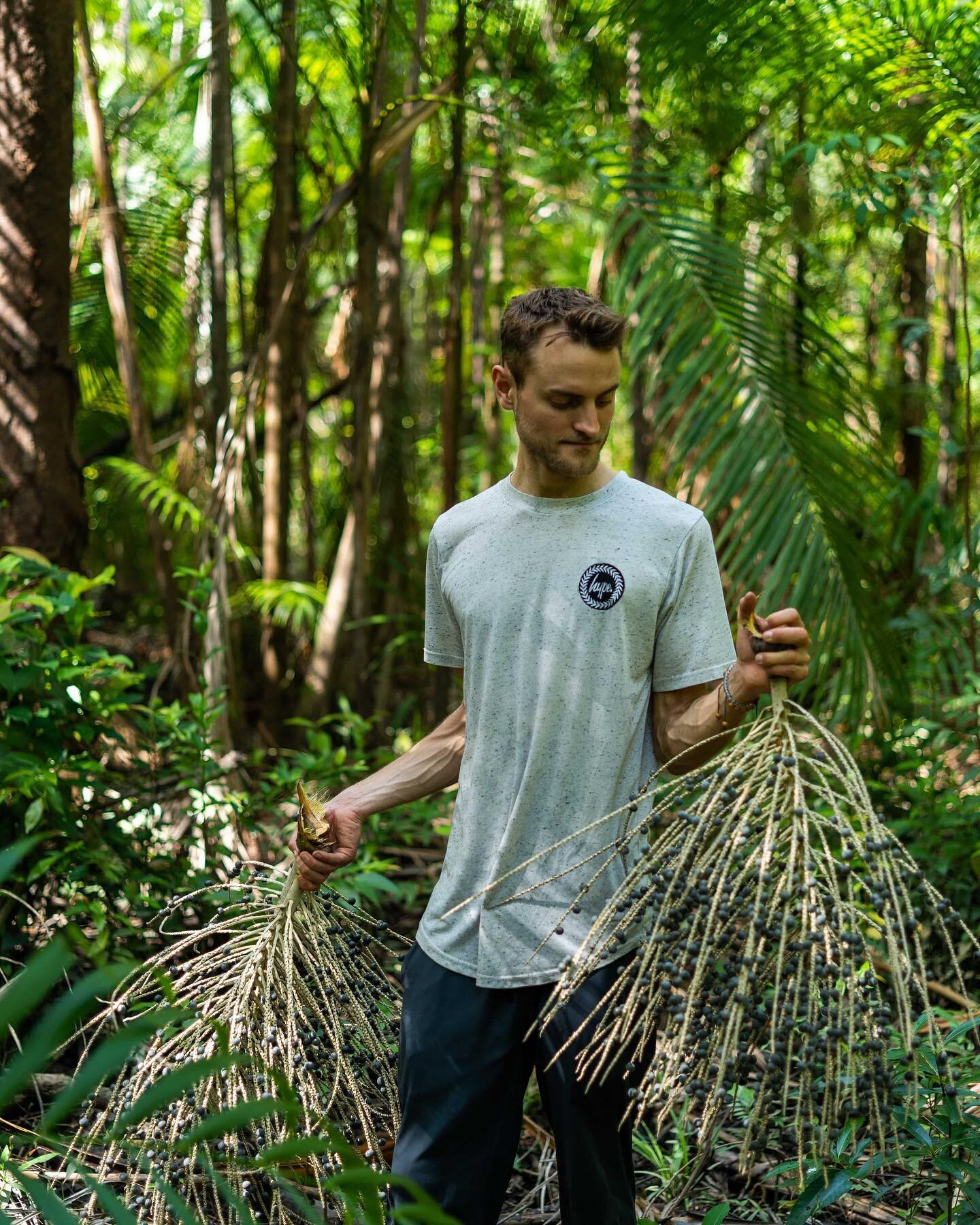 We've just reached 5k followers, woohoo! 🥳

Here we come with 5 Grow Wild facts for all the new and old fans!

💜 Grow Wild was born out of a love for nature and a&ccedil;ai.
💜 We work to create and support genuine sustainable trade of non-timber p