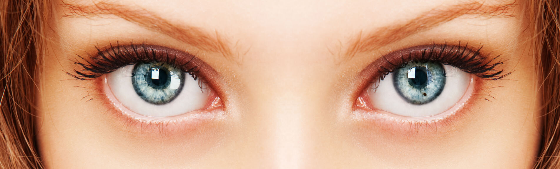 how-the-eye-works-desktop.jpg