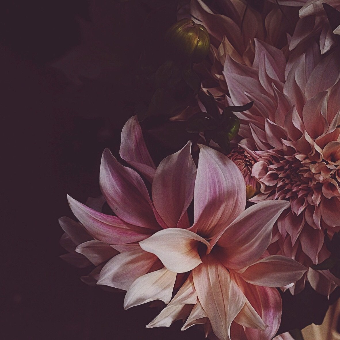 Looking Ahead: Wedding Flower Trends for 2026 and Beyond. There&rsquo;s a new section on my updated website (woohoo!) called Artist&rsquo;s Journal and this time I&rsquo;ve written about colours and trends for next year. Perfect Sunday reading! It&rs