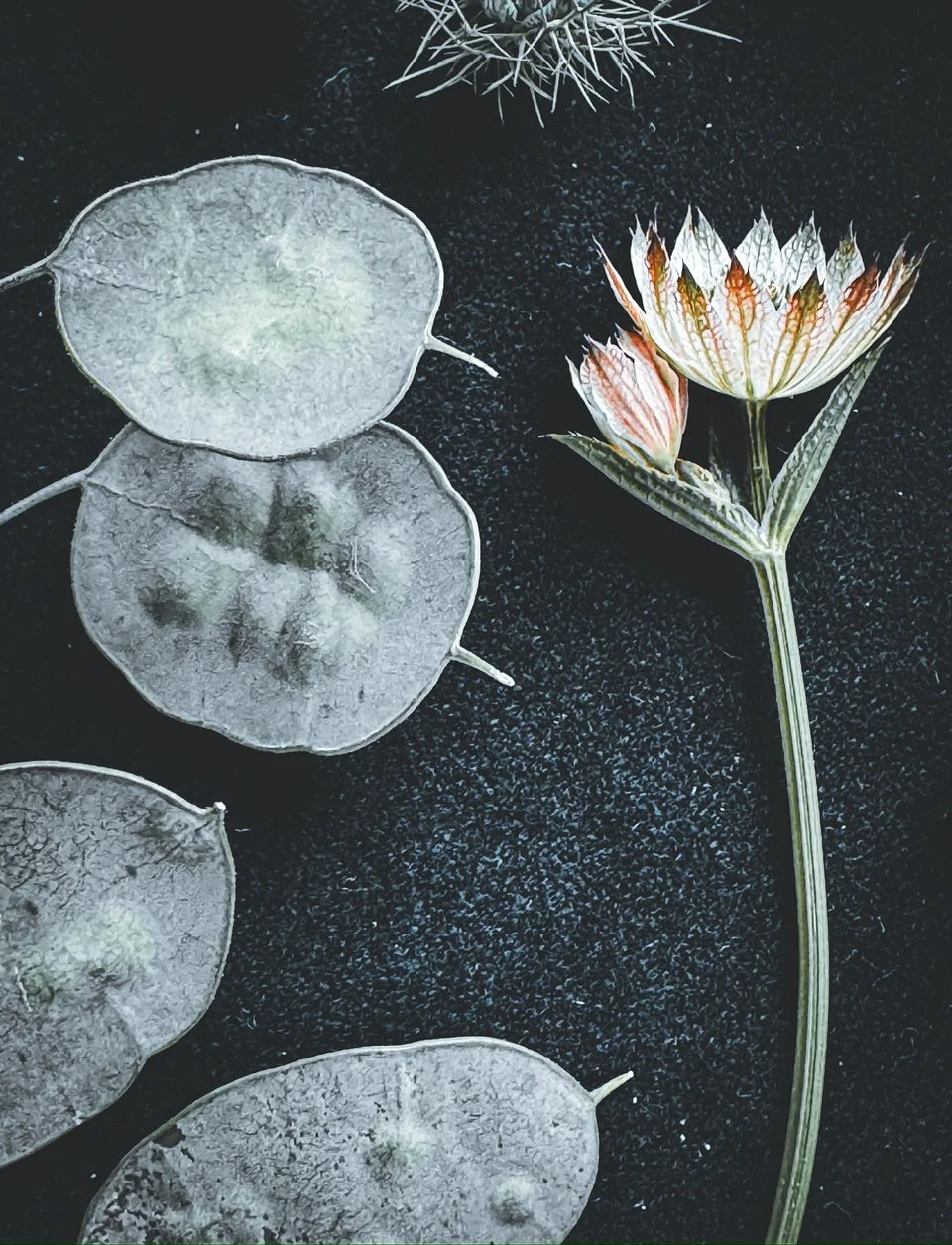 Thank You For A Wonderful 2025!