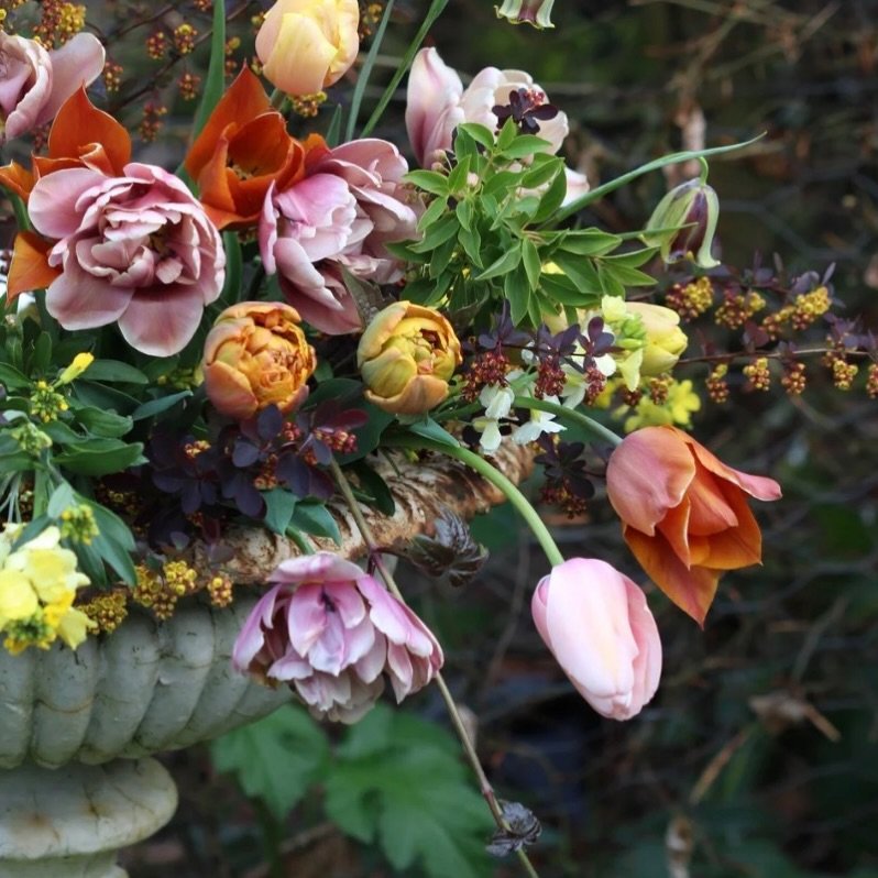 Big changes are afoot this year - new directions, new opportunities, and a few long-held dreams finally taking shape. Read my hot off the press to find out what&rsquo;s coming&hellip;! LINK IN BIO  PS. Does anyone have any spare removal boxes?!