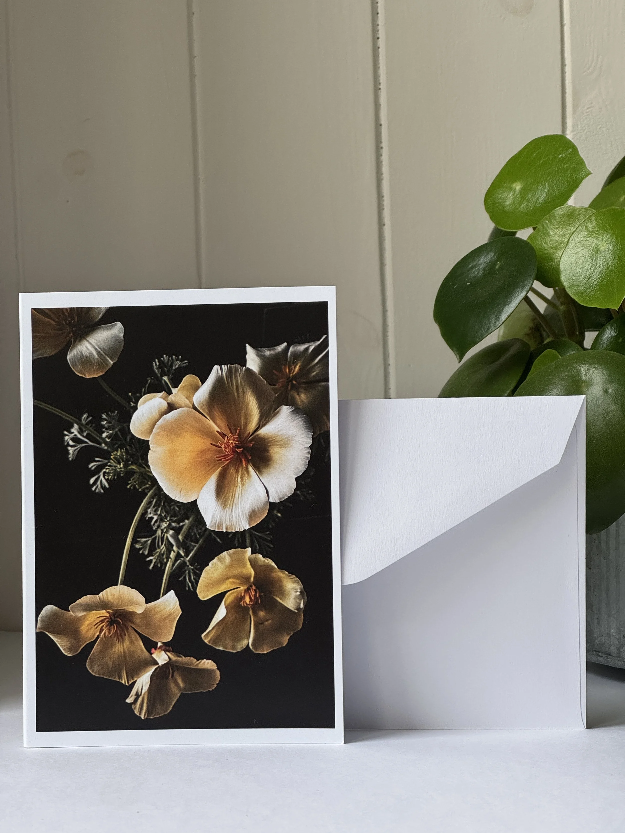 card with white envelope.JPG