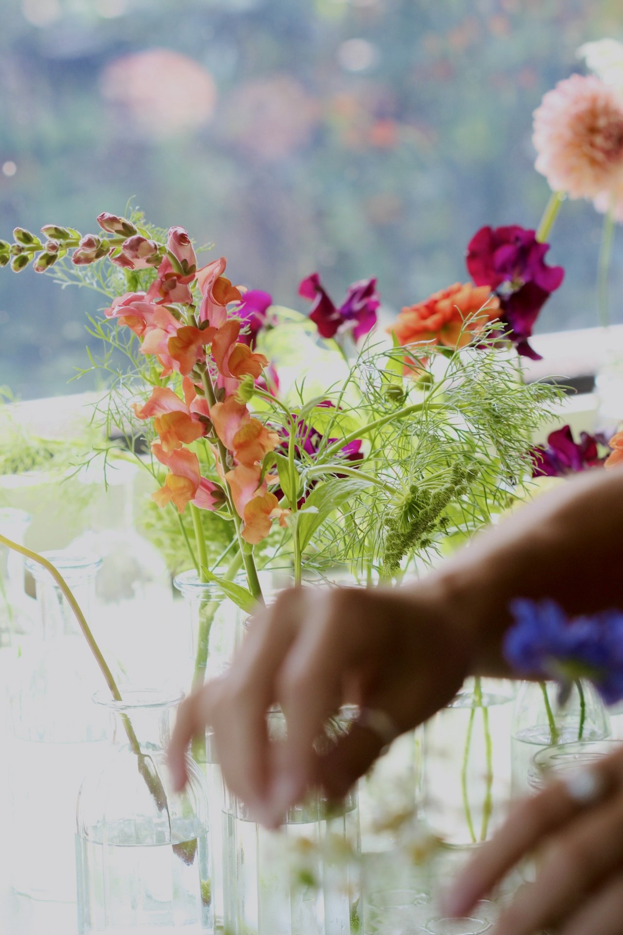 A variety of colorful flowers in glass vases near a window with natural light streaming in.