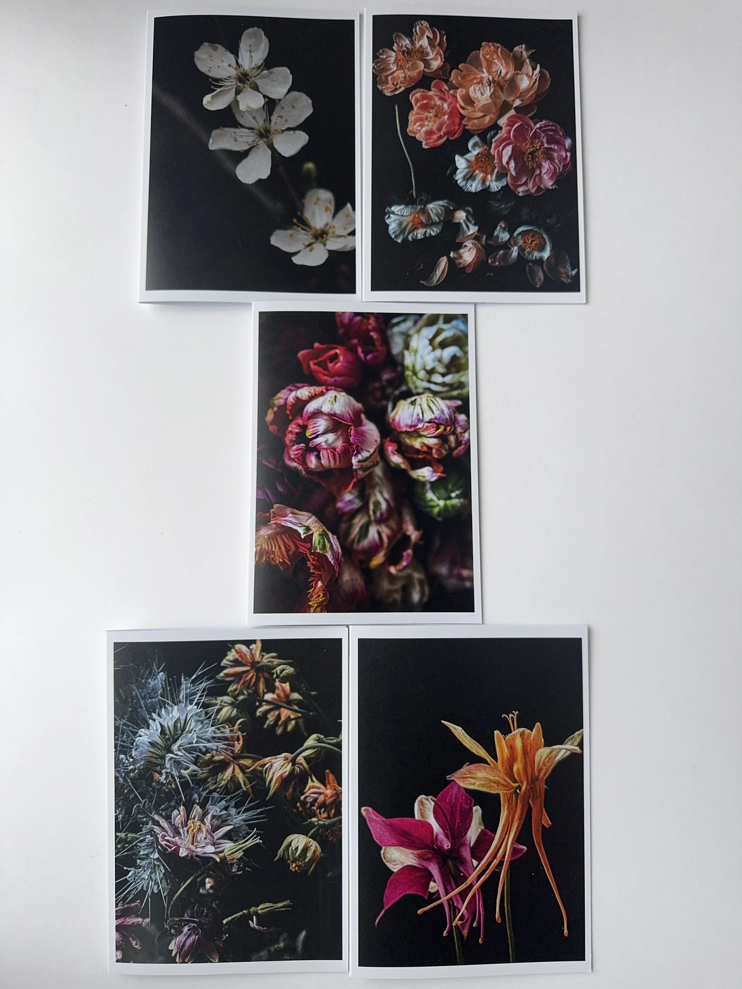 card collection II.jpg